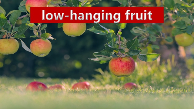low-hanging fruitの写真（記事タイトル入り）