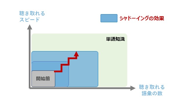 シャドーイングの効果を表したイラスト（縦軸にスピード、横軸に聴きとれる語彙のグラフで、シャドーイングを続けると青い面積がどんどん広がっていく感覚が持てる）
